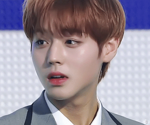 박지훈 단종 약한영웅 배우 워너원 가수 ❘ 나이 학력 직업 군대 ❘ 왕사남 천만배우 프로필