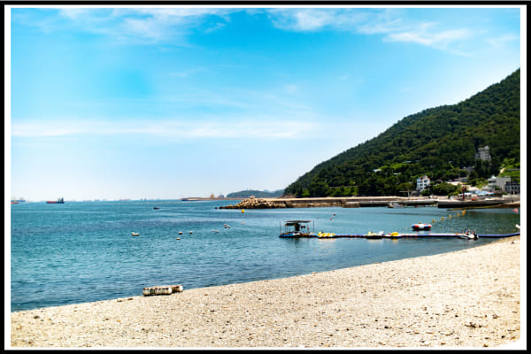 무늬오징어-포인트