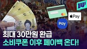 상생페이백신청방법6