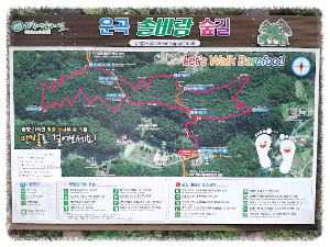 운곡솔바람숲길