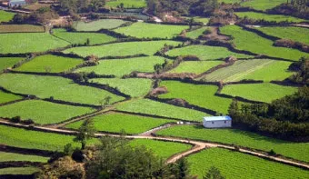 농지원부 정리 발급 정정 등록 기준 농지대장 차이_3