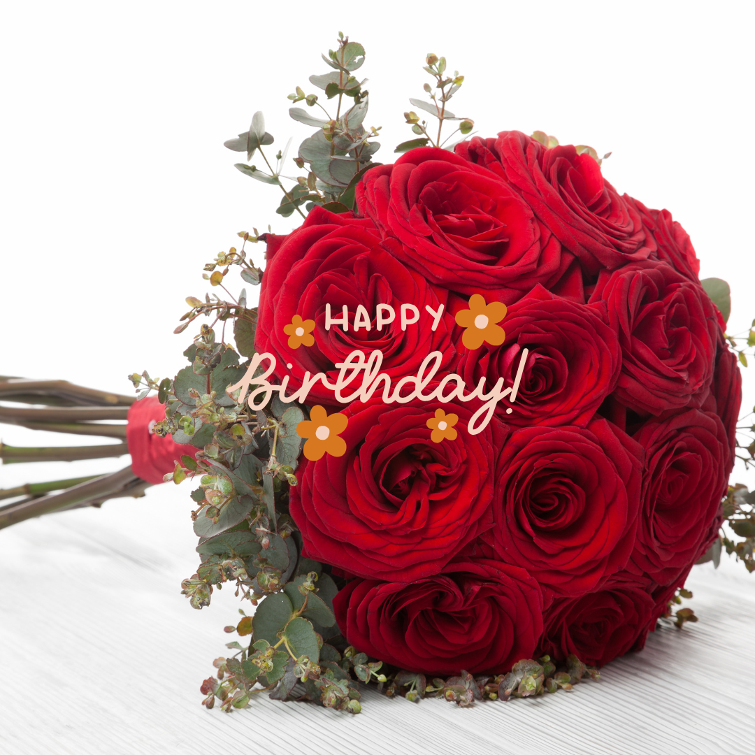 .생일 축하 메세지 꽃다말 이미지 모음