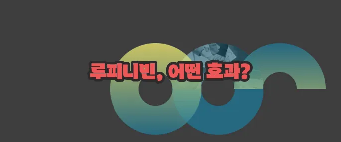 루피니빈 효능 자세히 알아볼게요