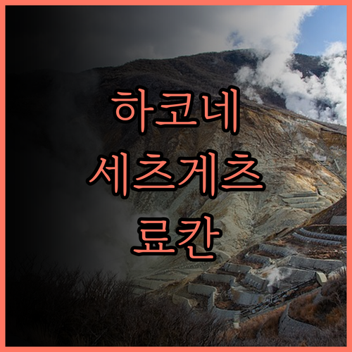 하코네 세츠게츠카 료칸 후기 꼼꼼 분