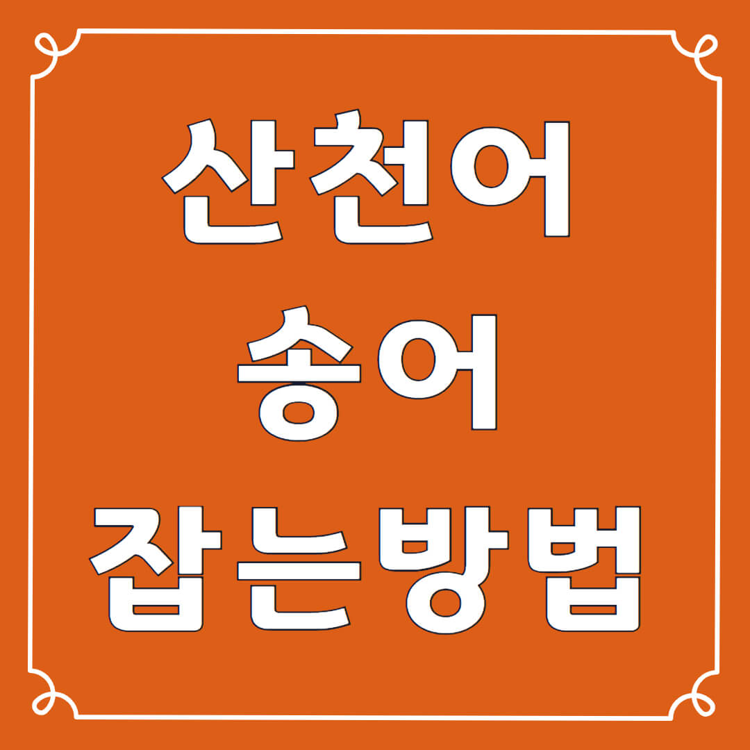 산천어축제 송어축제 잘잡는 방법