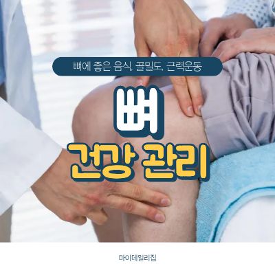 뼈건강관리