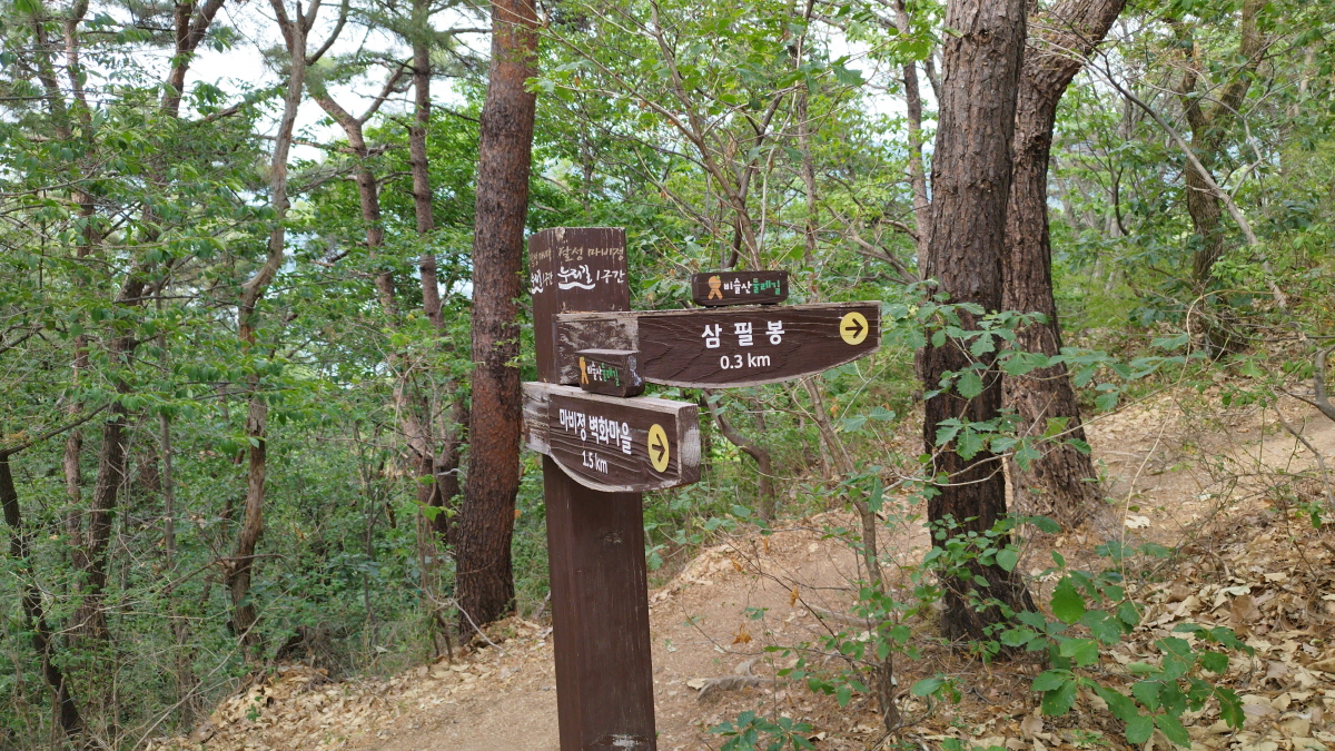 대구 삼필봉 0.3km