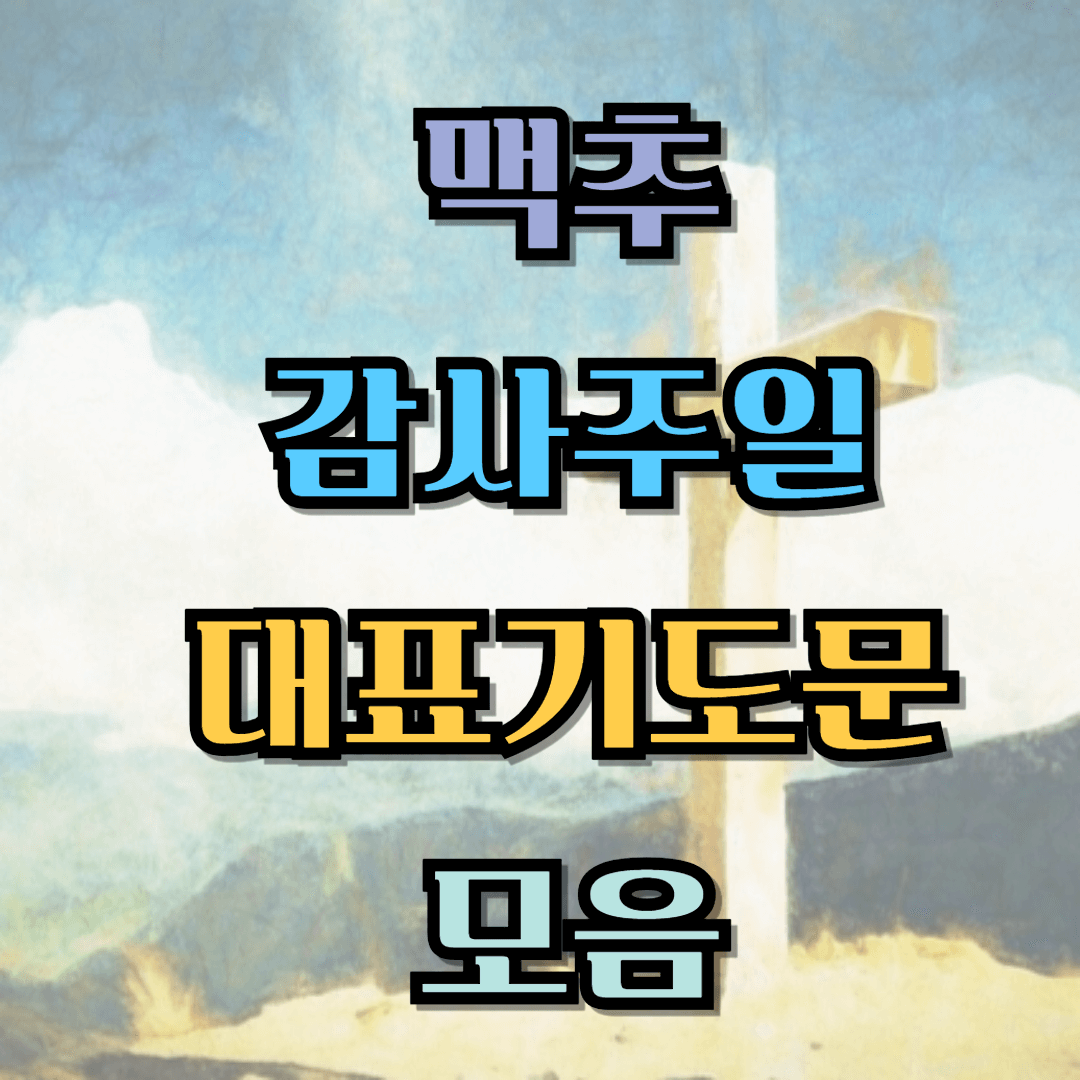 맥추감사주일 대표기도문 모음 (3 종류)