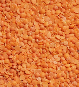 콜레스테롤 낮추는 방법 음식 과일