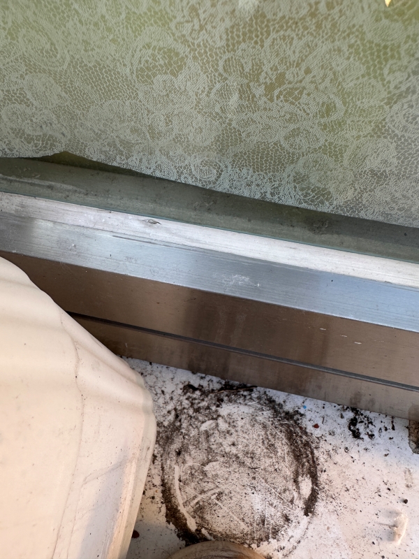 약품만으로 곰팡이제거