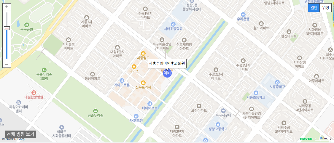 야간 진료가 가능한 이비인후과 병원 중에서 후기가 가장 좋은 이비인후과 병원 시흥수이비인후과의원