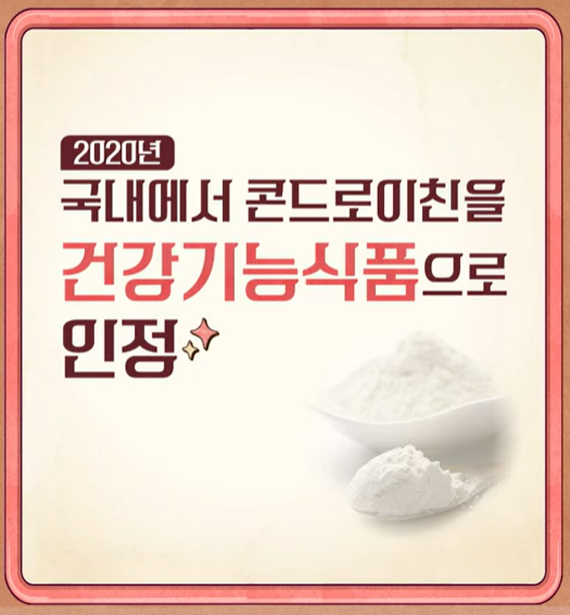 콘드로이친 효능