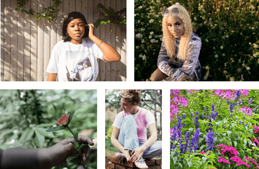 무료이미지 다운로드 사이트 스톡스냅