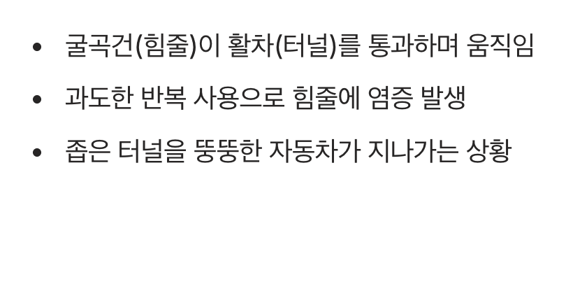 손가락 속의 '힘줄'과 '터널'