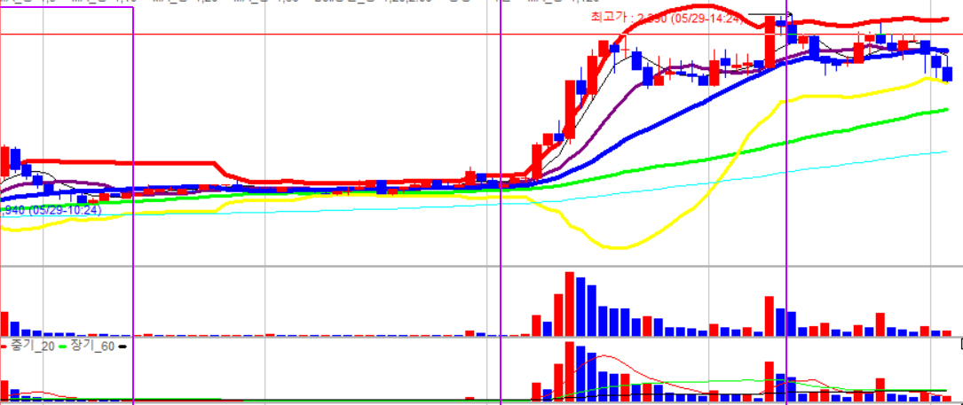 개미 주식투자 주식 개미 뜻