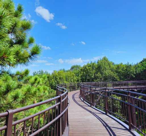 금광호수-하늘전망대