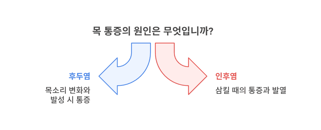 후두염 인후염 증상 비교표