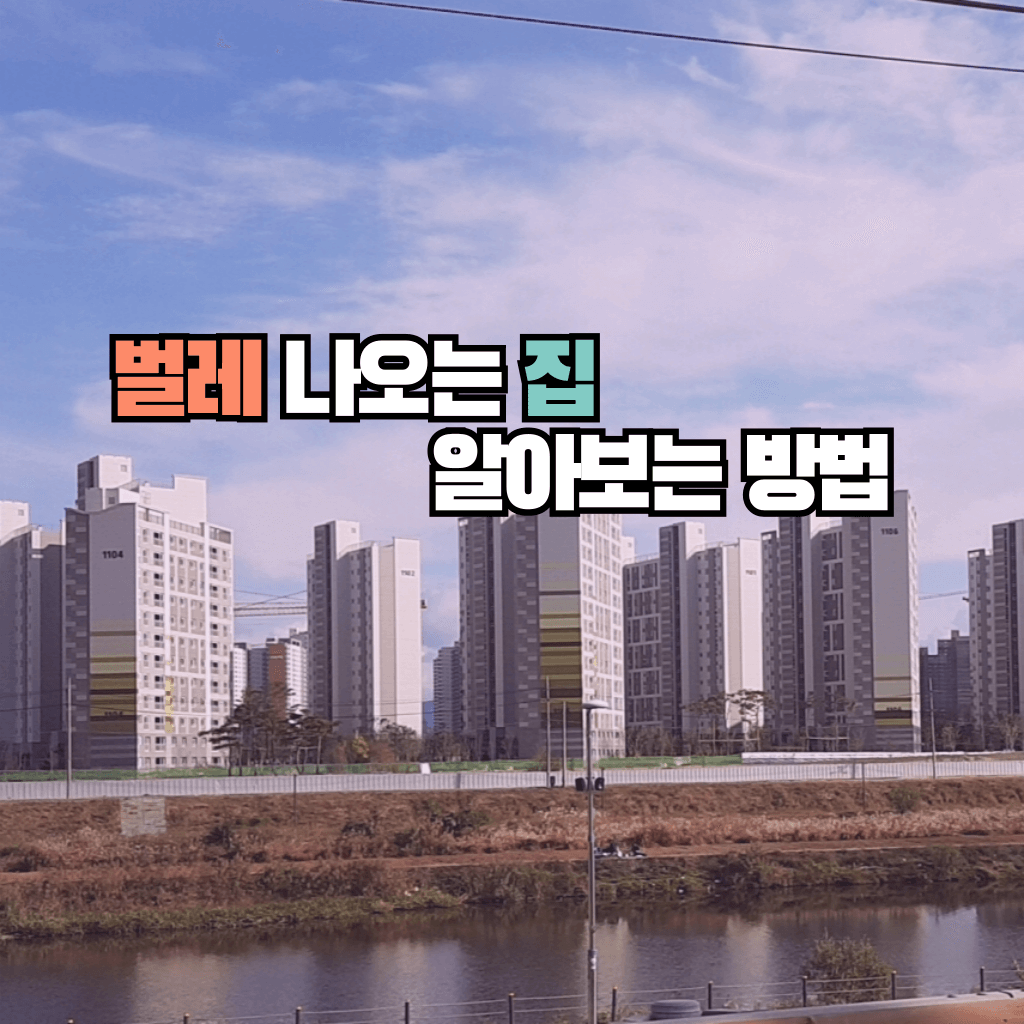 벌레 나오는 집 알아보는 방법