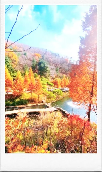 경기도 1박 2일 여행지 추천 베스트 5곳 총정리 완벽 코스_23