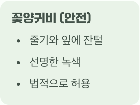 가장 중요한 첫걸음&amp;#44; &amp;#39;착한 양귀비&amp;#39; 구별하기
