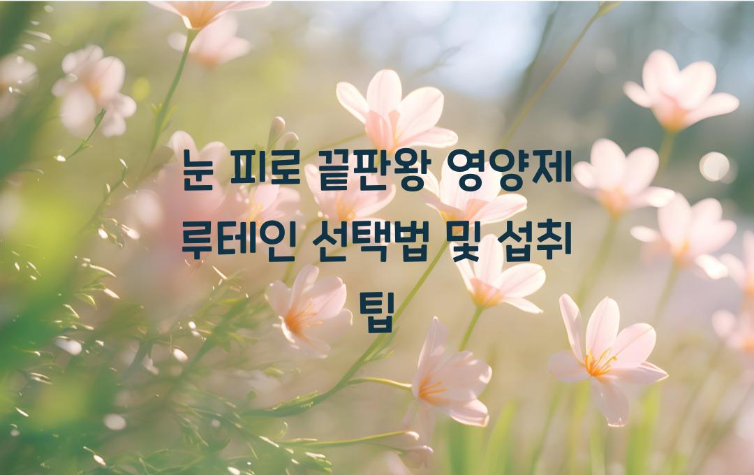 눈 피로 끝판왕! 영양제 루테인 고르는 법