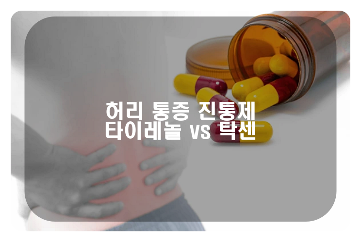 허리 통증 완화를 위한 진통제 선택&#44; 타이레놀 vs 탁센&#44; 과연 효과적일까?