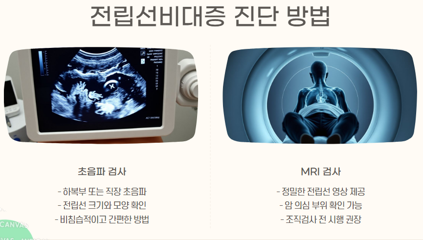 전립선비대증 완벽 가이드: 맞춤 관리로 건강 되찾기 - 증상과 심리적 영향 - 심리적 영향 전립선비대증 완벽 가이드: 맞춤 관리로 건강 되찾기 - 증상과 심리적 영향 - 심리적 영향