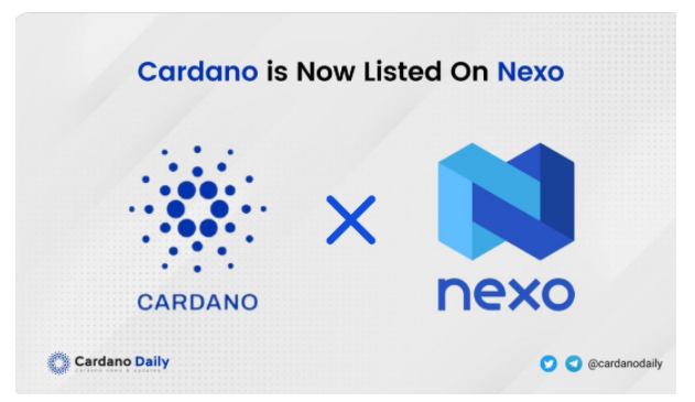 에이다-nexo상장