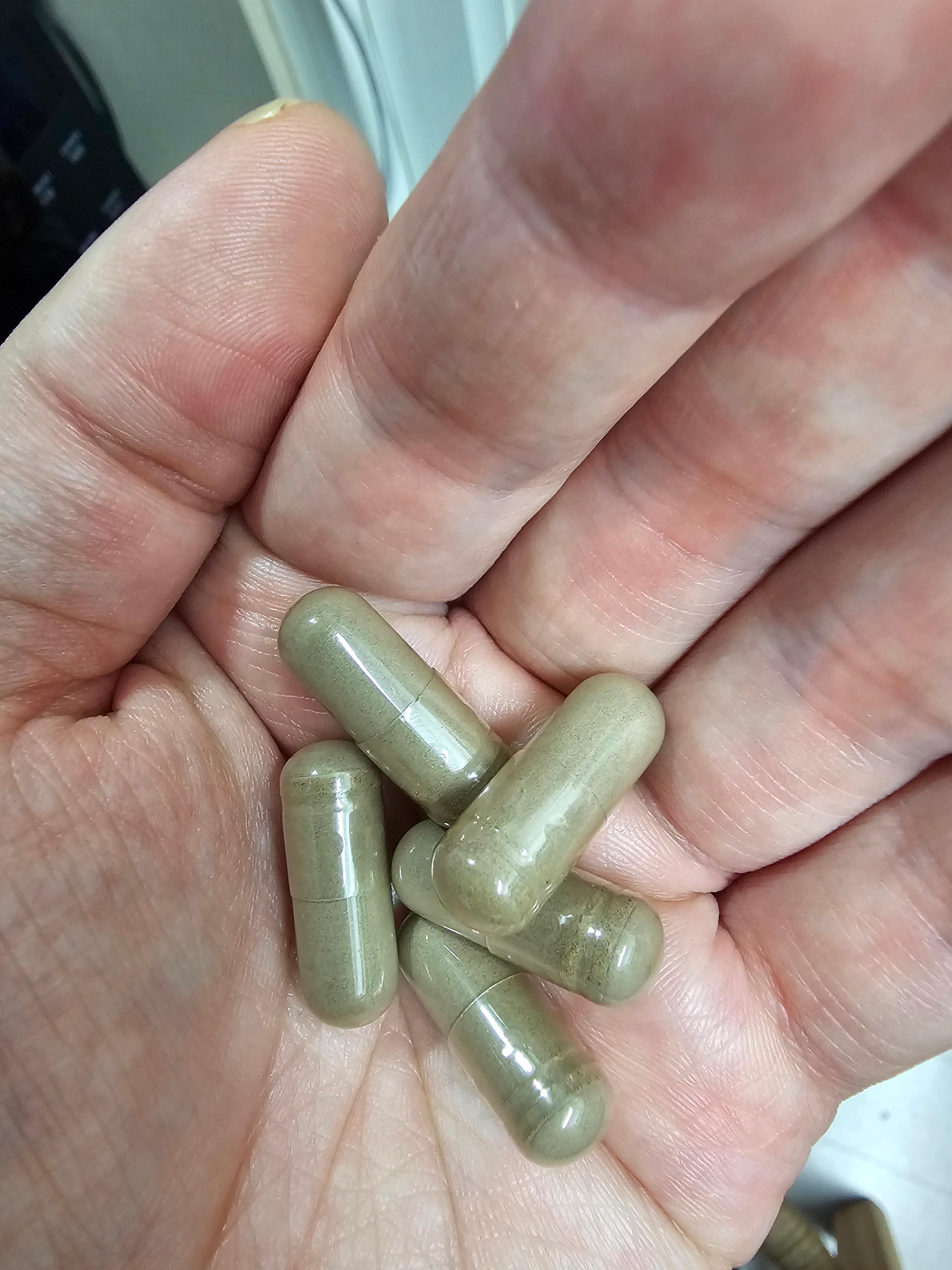 닥터스베스트 노니 프룻 파우더