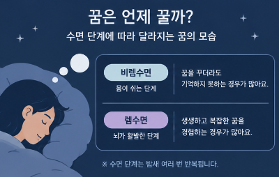 꿈을 많이 꾸면 잠을 잘 못 잔 것일까? 꿈과 수면의 관계