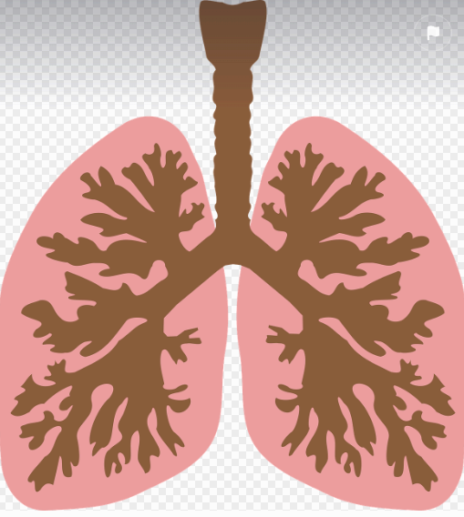 RSV부터 CRP까지, 모세기관지염 진단검사