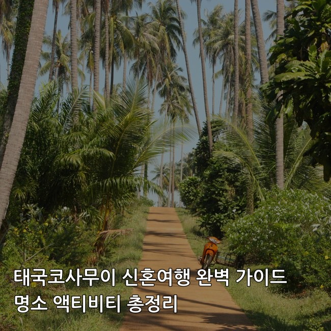 이미지 1