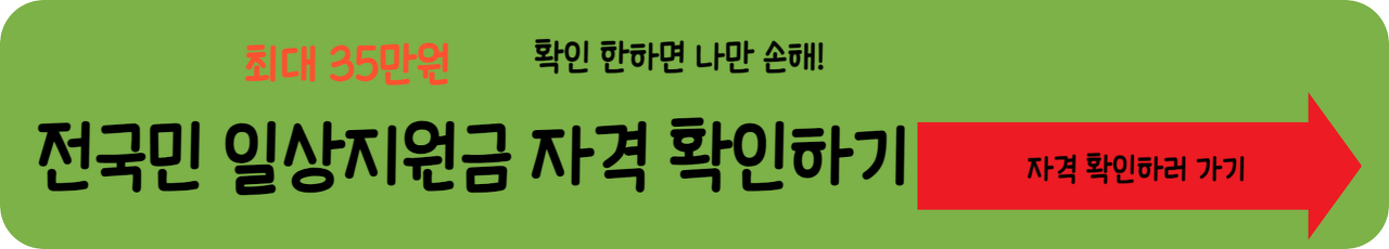 전국민 일상지원금