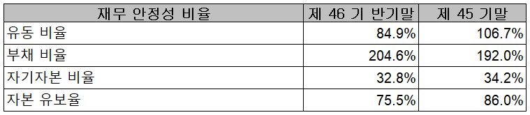 뉴인텍 - 재무 안정성 비율