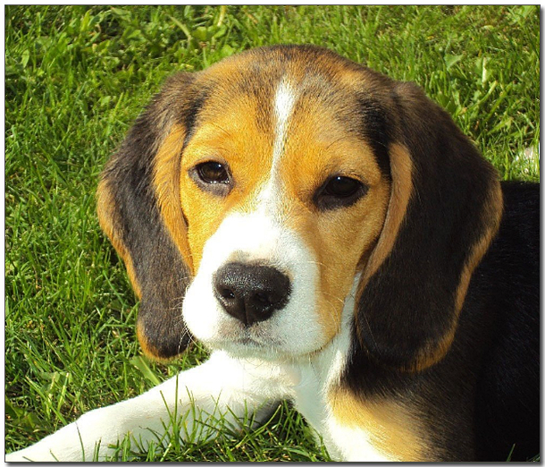 ๋ฉํ ํ์ ์ ๋น๊ธ