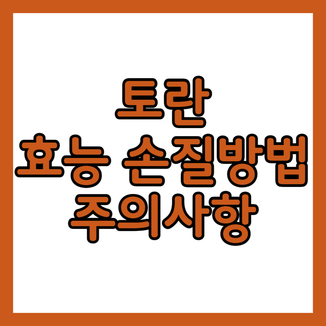 토란효능