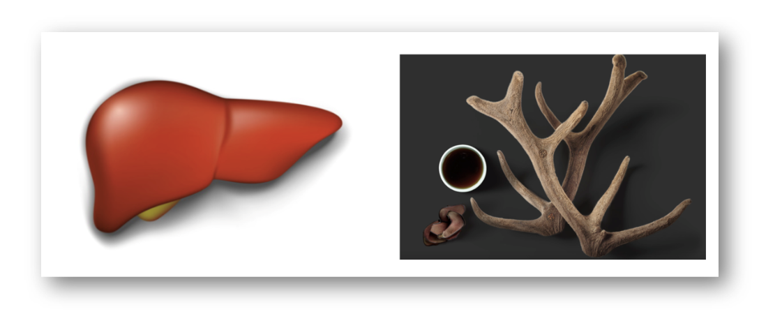 침향환 효능, 왜 간수치 고혈압에 효과적일까?