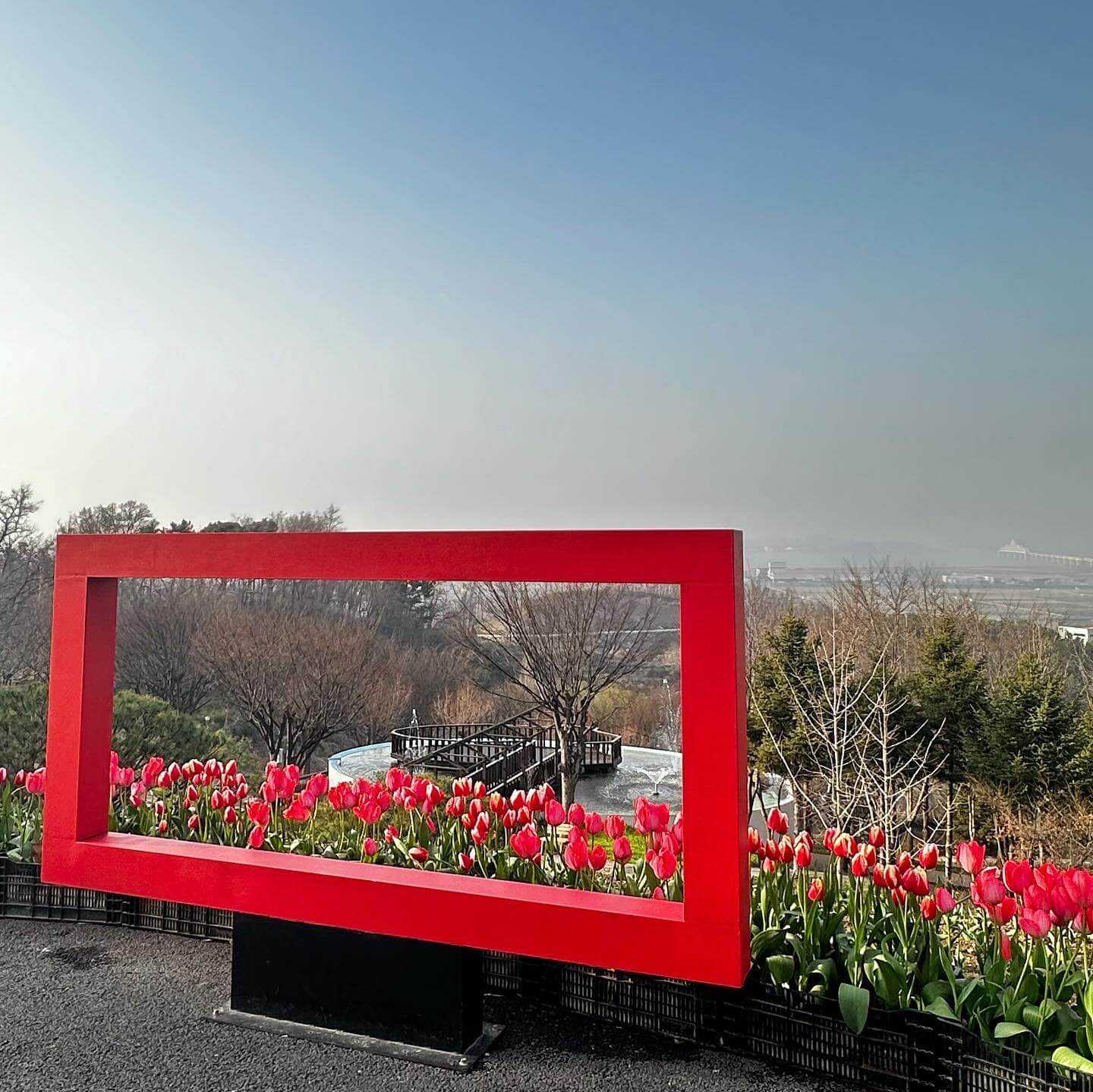 억만송이 봄꽃대향연 튤립 수선화 축제