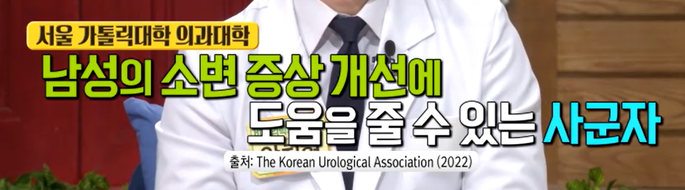 전립선 비대증에 좋은 사군자