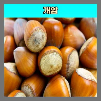 개암나무 열매 효능 깨금 부작용으로 건강 관리법_10