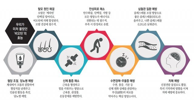 비오틴 효능