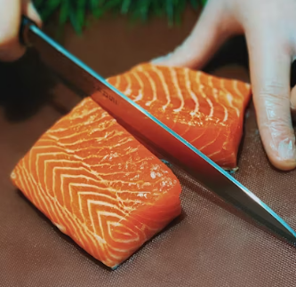 단백질 많은 음식 식물성 동물성