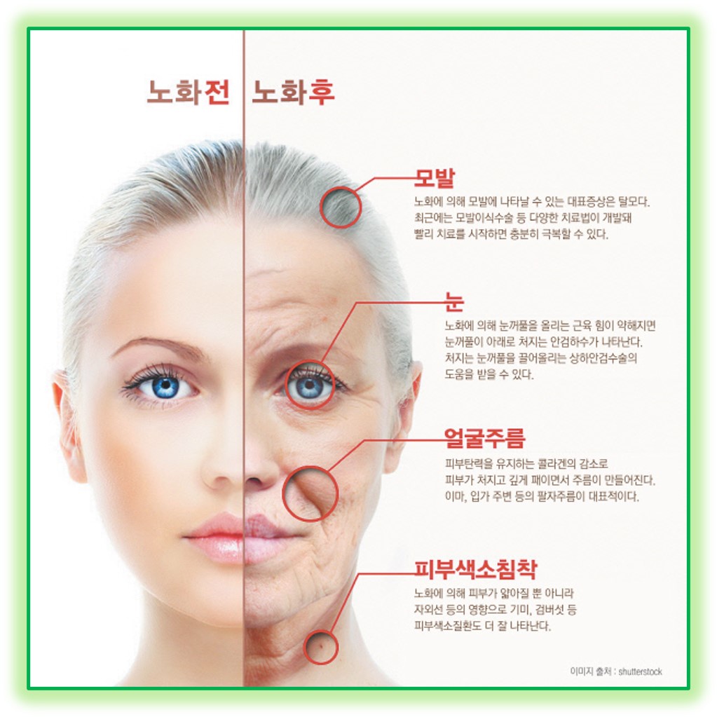 안티에이징생활