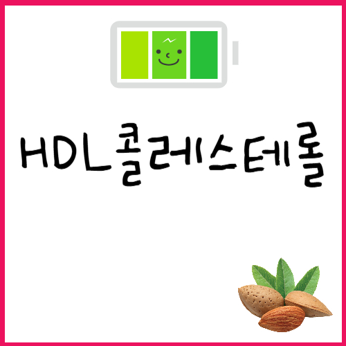 HDL콜레스테롤