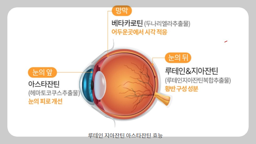 루테인 지아잔틴 아스타잔틴의 효능