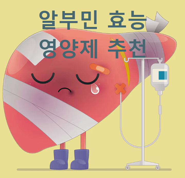 알부민 효능과 영양제 추천