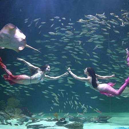 대구아쿠아리움