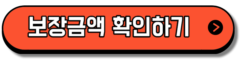 서울시 쌍둥이