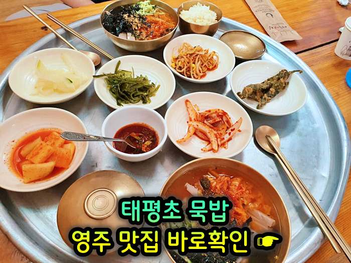 6시 내고향 경북 영주 메밀묵 돼지고기 얼큰 양념 찌개 태평초 맛집