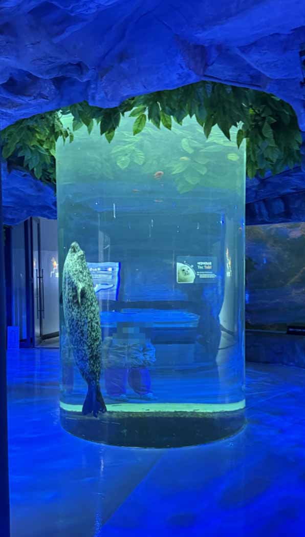 여수아쿠아플라넷-공연시간표